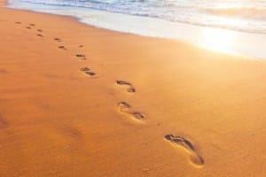 What steps does the customer take on their journey with your business?