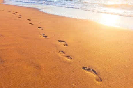 What steps does the customer take on their journey with your business?